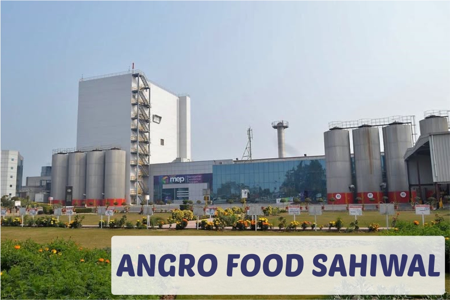 Angro-food-1.jpg